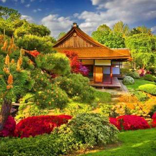 Farm house wallpaper