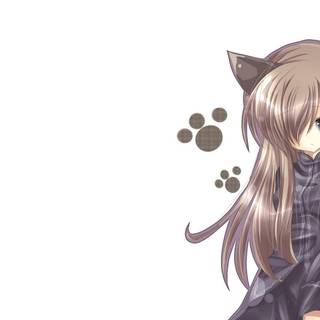 Cat anime wallpaper