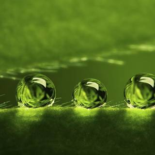 Green rain wallpaper