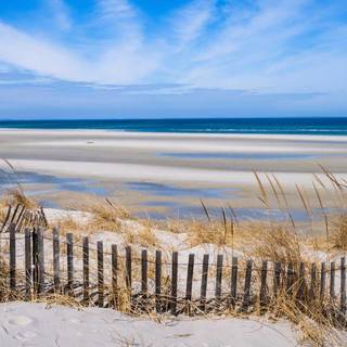 Wallpaper, new england