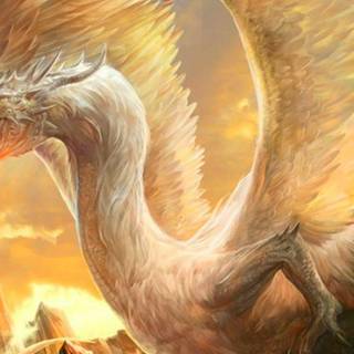 White dragon wallpaper HD