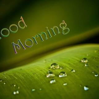 Latest fb HD wallpaper