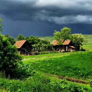 Farm background page