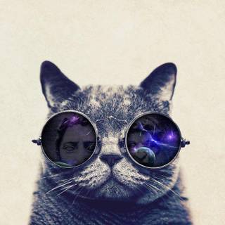 Kat wallpaper