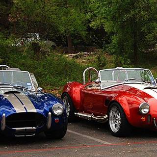 Cobra auto wallpaper