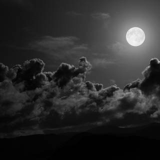 Full moon night wallpaper HD