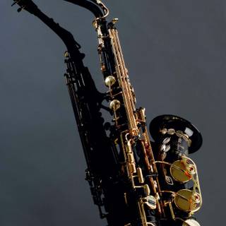 Wallpapers sax
