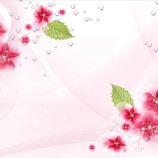 Flower backgroundwallpaper