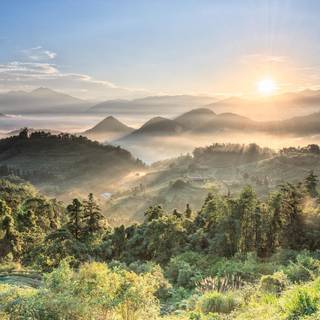 Breathtaking wallpaper