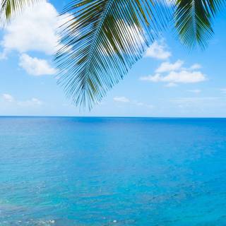 HD wallpaper 1080p mobile