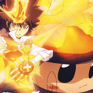 Tsuna background