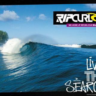 Rip Curl wallpaper