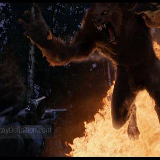 Wallpapers of van halsing