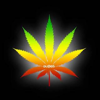 Rastafarian colors background