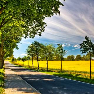 Nature wallpaper high resolution