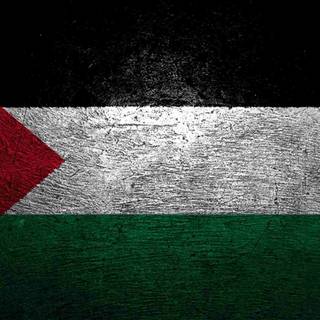Free gaza free palestine wallpaper