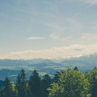 Kiss x sis handy wallpaper