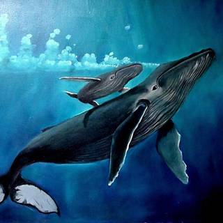 Wheal fish wallpaper