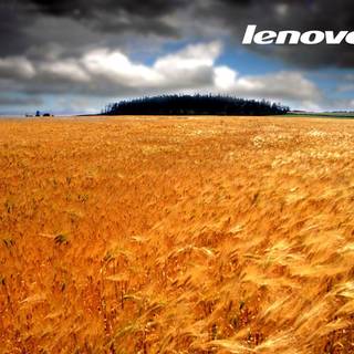 Ibm thinkpad wallpaper 1024x768