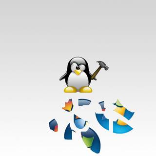 Wallpaper linux vs windows