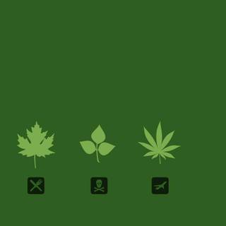 HD marijuana leaf wallpaper