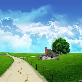 HD wallpaper in love and nature