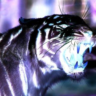 3d background images tiger