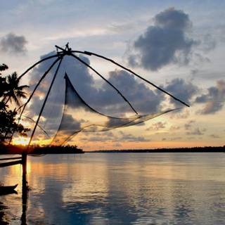 Android mobile wallpaper keralam