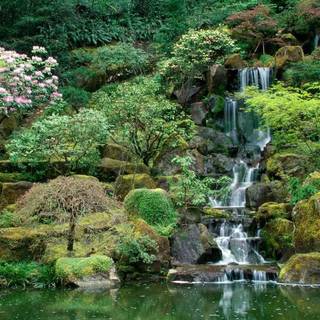 Japanese water garden wallpaper