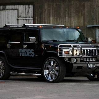 Silver hummer wallpaper