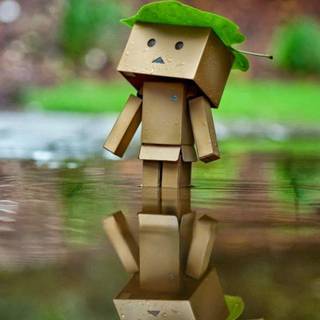 Cute danbo wallpaper