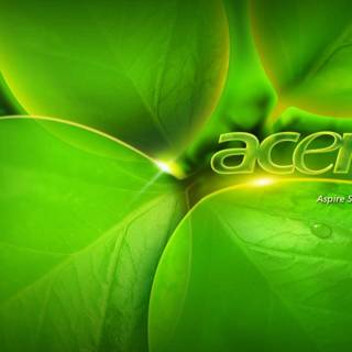 Acer logo background