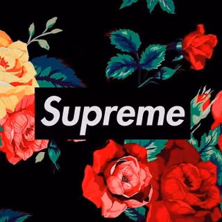 Supreme Gucci wallpaper