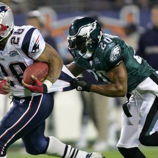 Brian Dawkins wallpaper