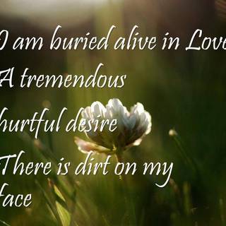 Love hurts quotes wallpaper