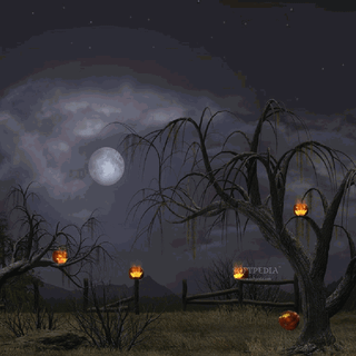 Halloween lights HD wallpaper