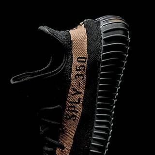 Adidas Yeezy Boost 350 V2 wallpaper