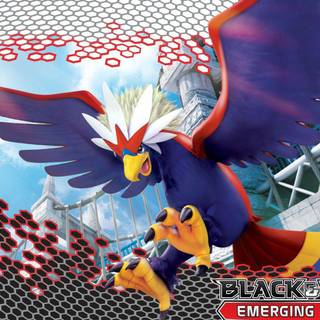 Braviary HD wallpaper