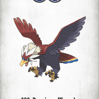 Braviary HD wallpaper