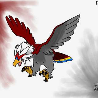 Braviary HD wallpaper