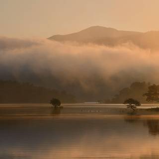 Nikon D850 wallpaper