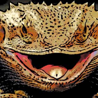 Bearded dragons wallpaper