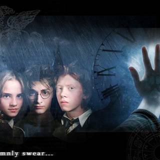 Ron Weasley And Hermione Granger wallpaper