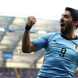 Uruguay football logo wallpaper