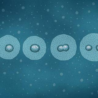 Cell biology wallpaper