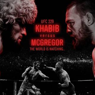 UFC 229 wallpaper