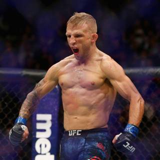 T.J. Dillashaw wallpaper