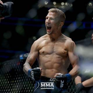 T.J. Dillashaw wallpaper