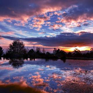 Purple scenic wallpaper