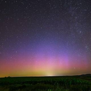 Purple scenic wallpaper